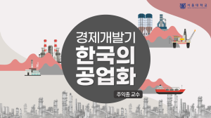 경제개발기 한국의 공업화